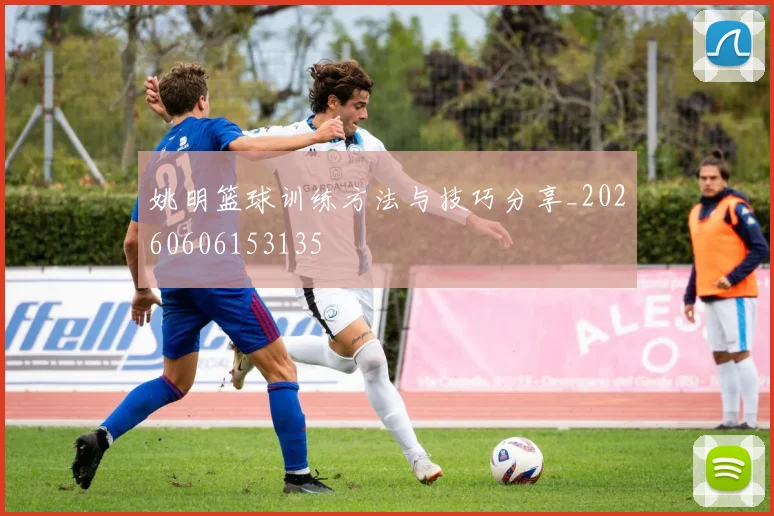 姚明篮球训练方法与技巧分享_20260606153135