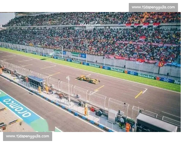F1观赛入门：看懂比赛必须知道的10件事