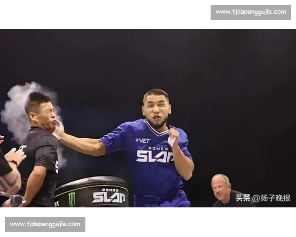 UFC 经典 KO 集锦:不容错过的终结瞬间 UFC 经典 KO 集锦:不容错过的终结瞬间